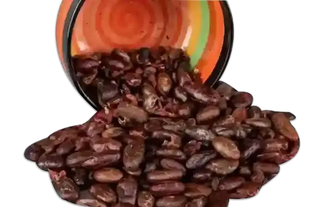 Nibs de Chocolate 500 gr