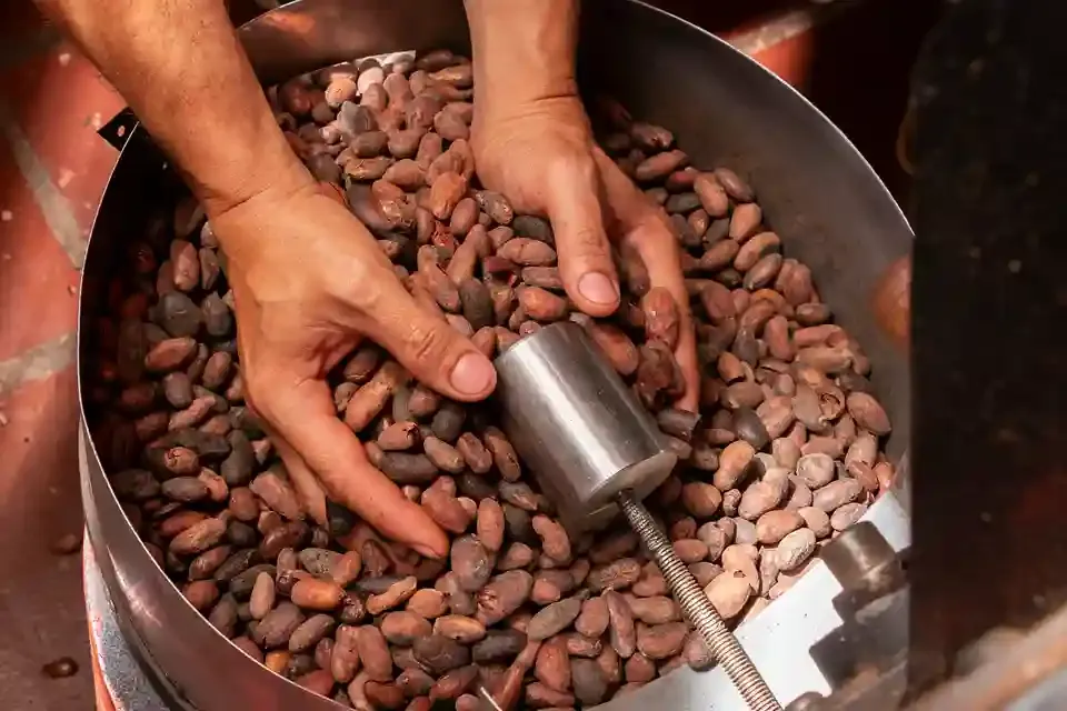 Comité Cacaotero
