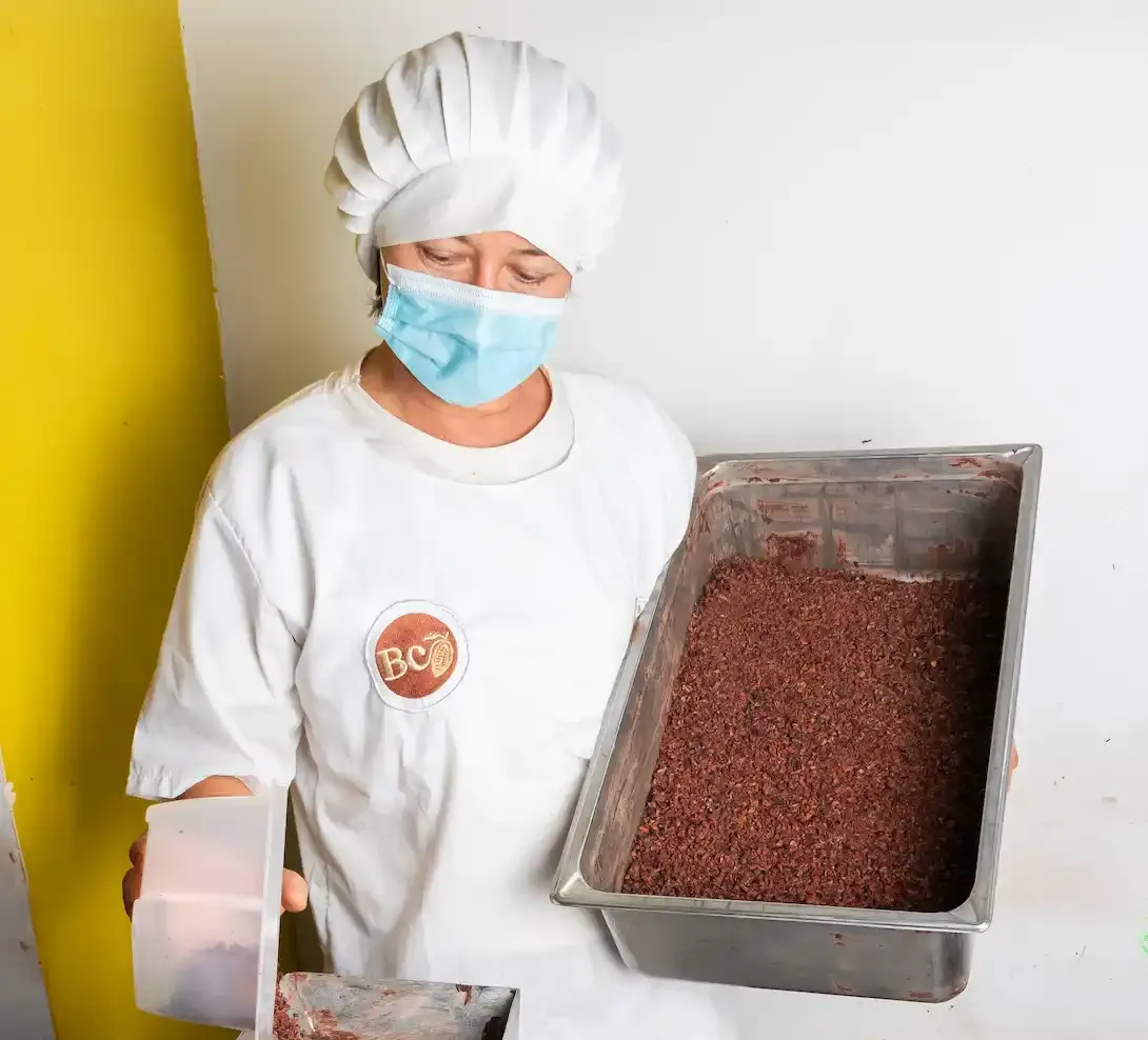 Comité Cacaotero