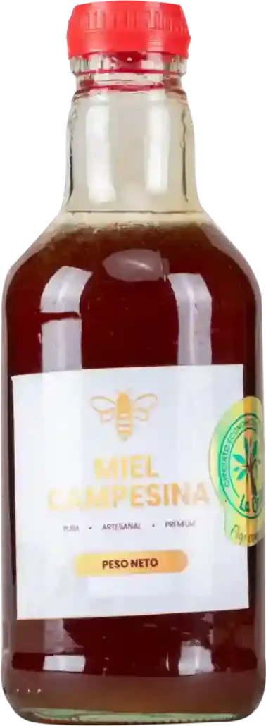 Miel de Abeja Orgánica Cruda 500 gr