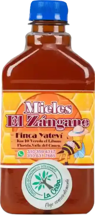 Miel de Abeja Orgánica Cruda 500 gr