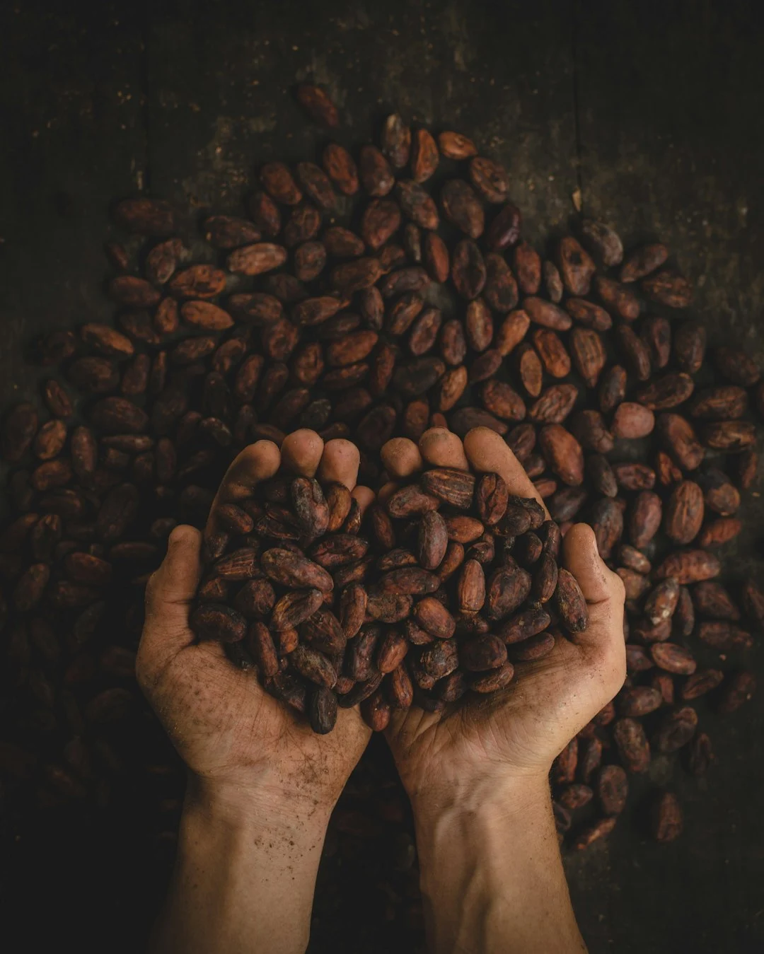 Comité Cafetero