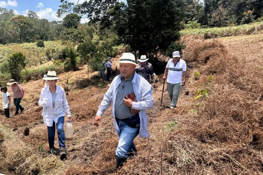 Comunidad 1